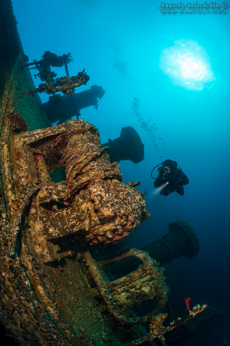 Cedar Pride wreck, Jordan