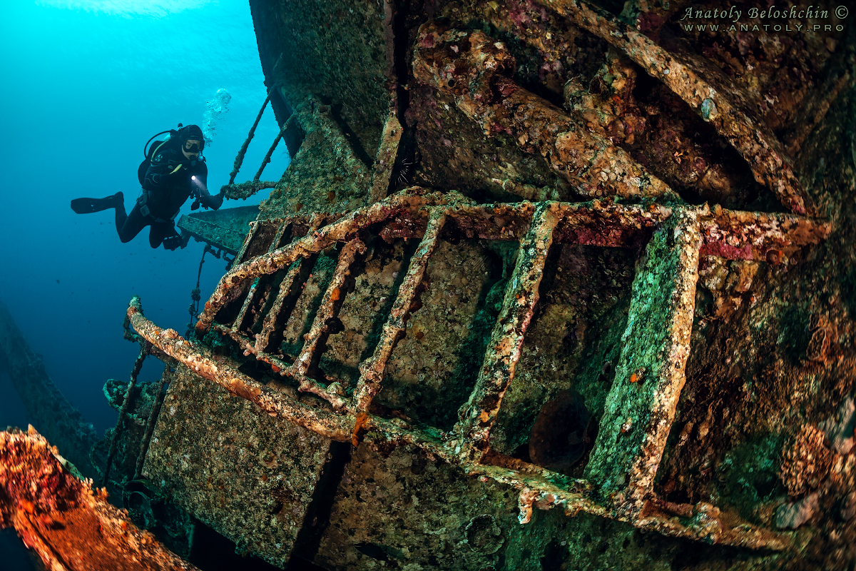 Cedar Pride Wreck, Jordan