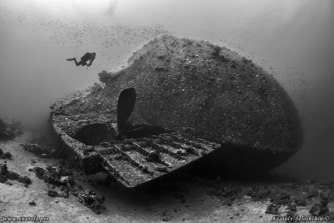 Kimon M, Seastar, Red sea, wreck, Anatoly Beloshchin, Белощин 
