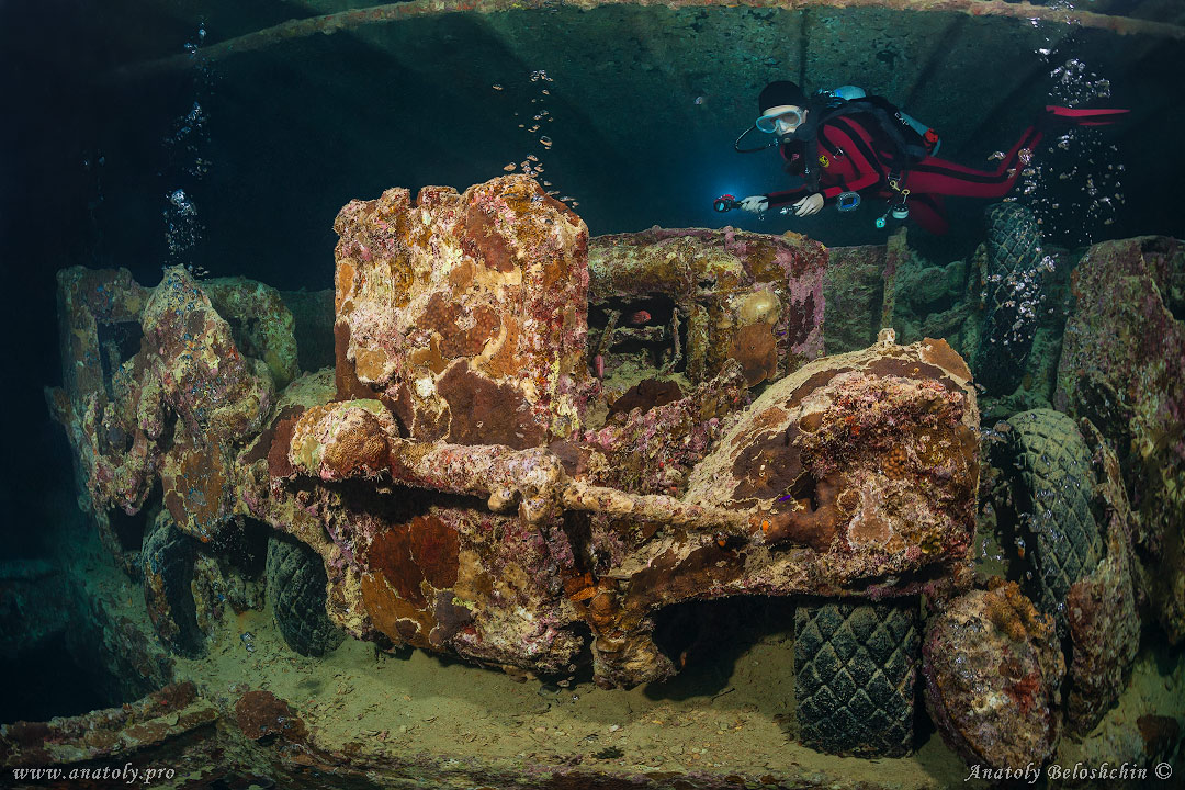 Thistlegorm, wreck, Red Sea, Anatoly Beloshchin, Белощин