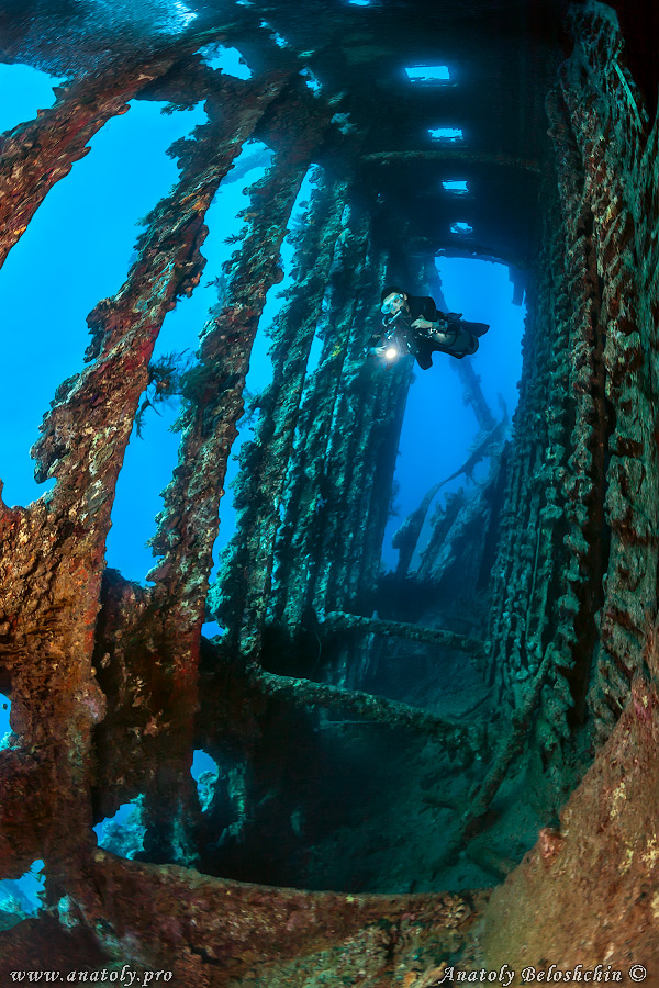 Carnatic, wreck, Red Sea, Anatoly Beloshchin, Белощин
