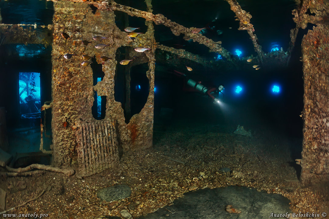 Thistlegorm, wreck, Red Sea, Anatoly Beloshchin, Белощин