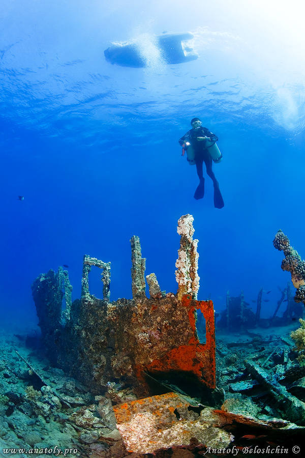 Wreck, Red Sea, Anatoly Beloshchin, Белощин