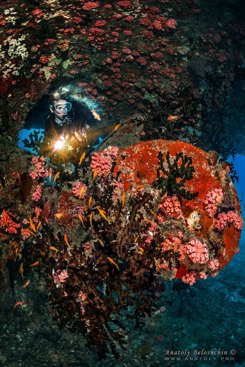 Kuda Giri wreck. Maldives