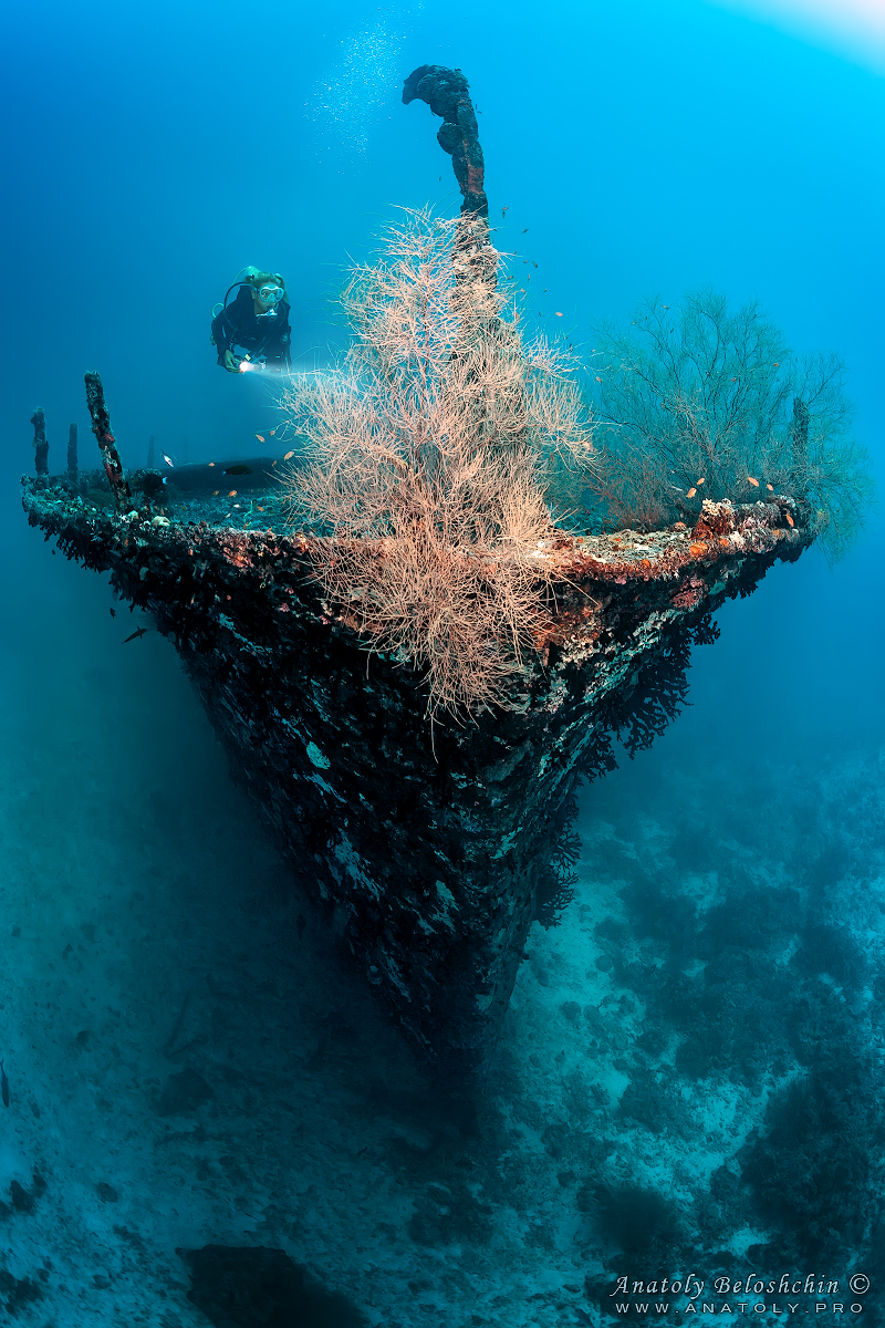 Kuda Giri wreck. Maldives