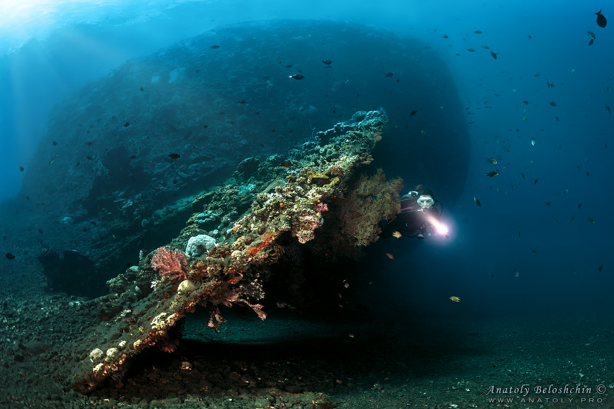 Liberty wreck. Tulamben. Bali. Indonesia. Anatoly Beloshchin. Анатолий Белощин