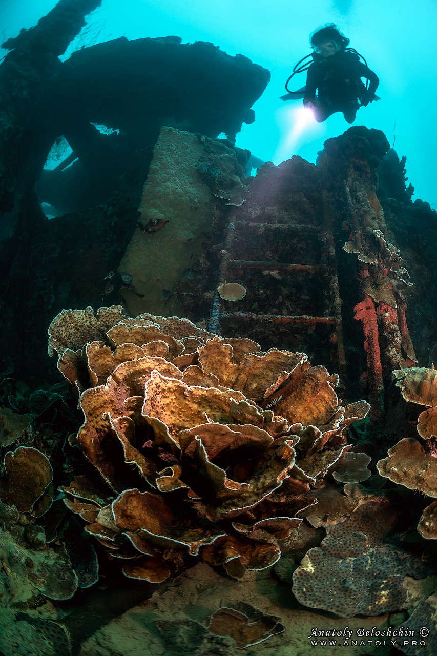 Palau, Anatoly Beloshchin, Палау, Анатолий Белощин, wreck, helmet wreck
