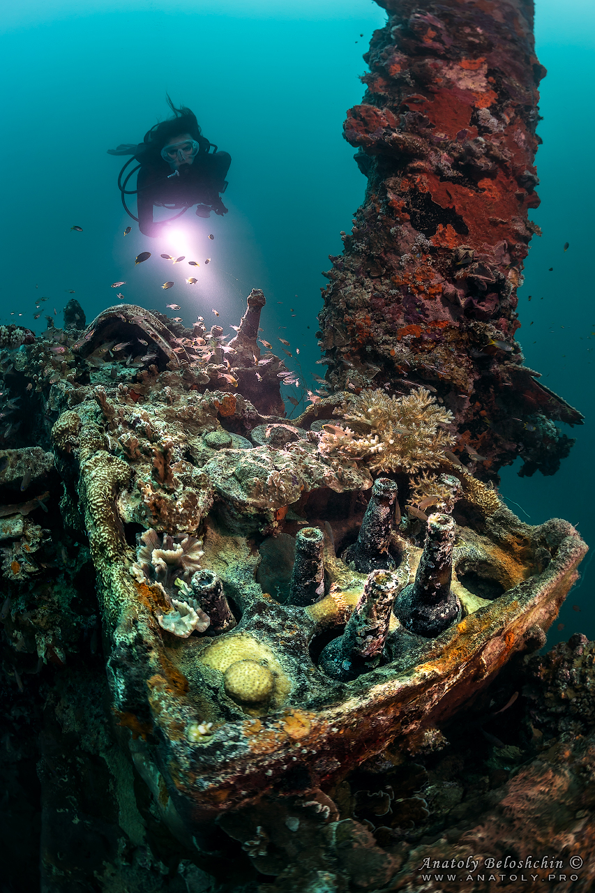 Palau, Anatoly Beloshchin, Палау, Анатолий Белощин, wreck, helmet wreck