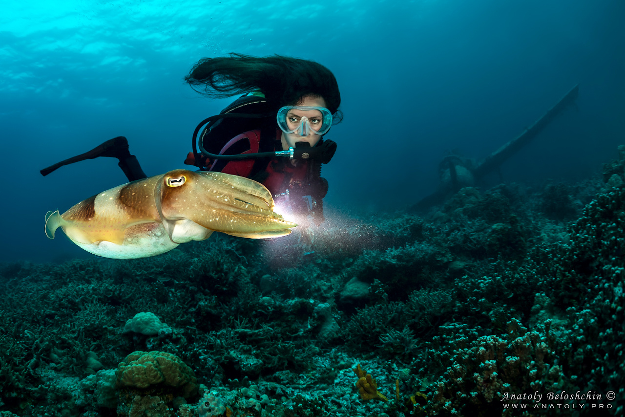 Palau, Anatoly Beloshchin, Палау, Анатолий Белощин, wreck, aircraft