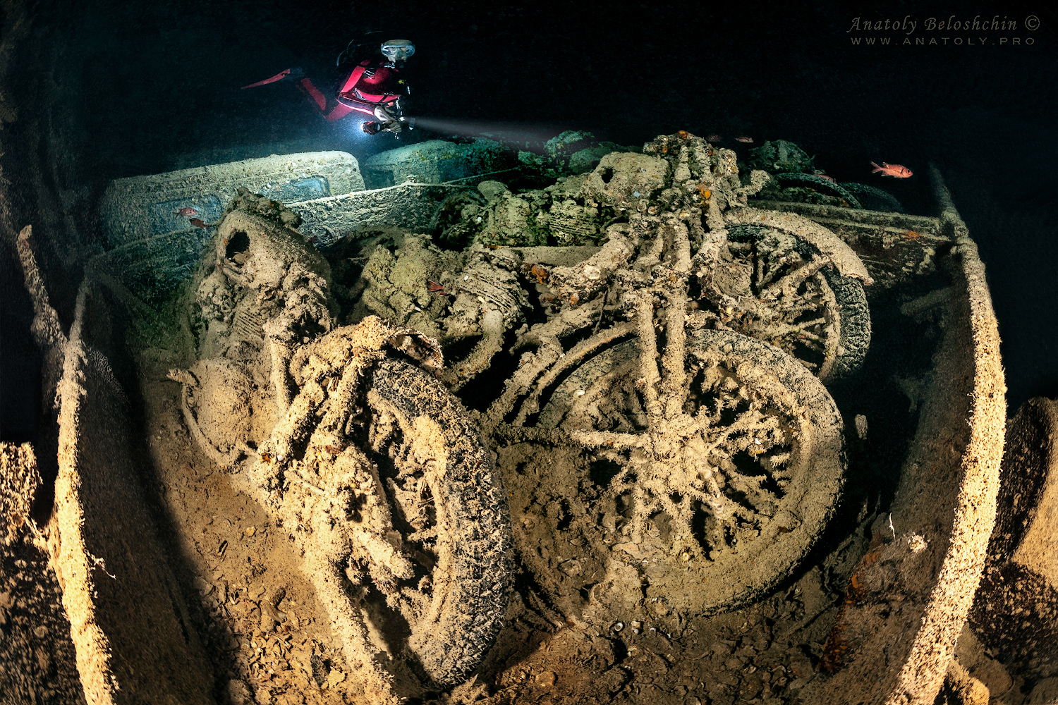 Thistlegorm, wreck, Red Sea, Anatoly Beloshchin, Белощин
