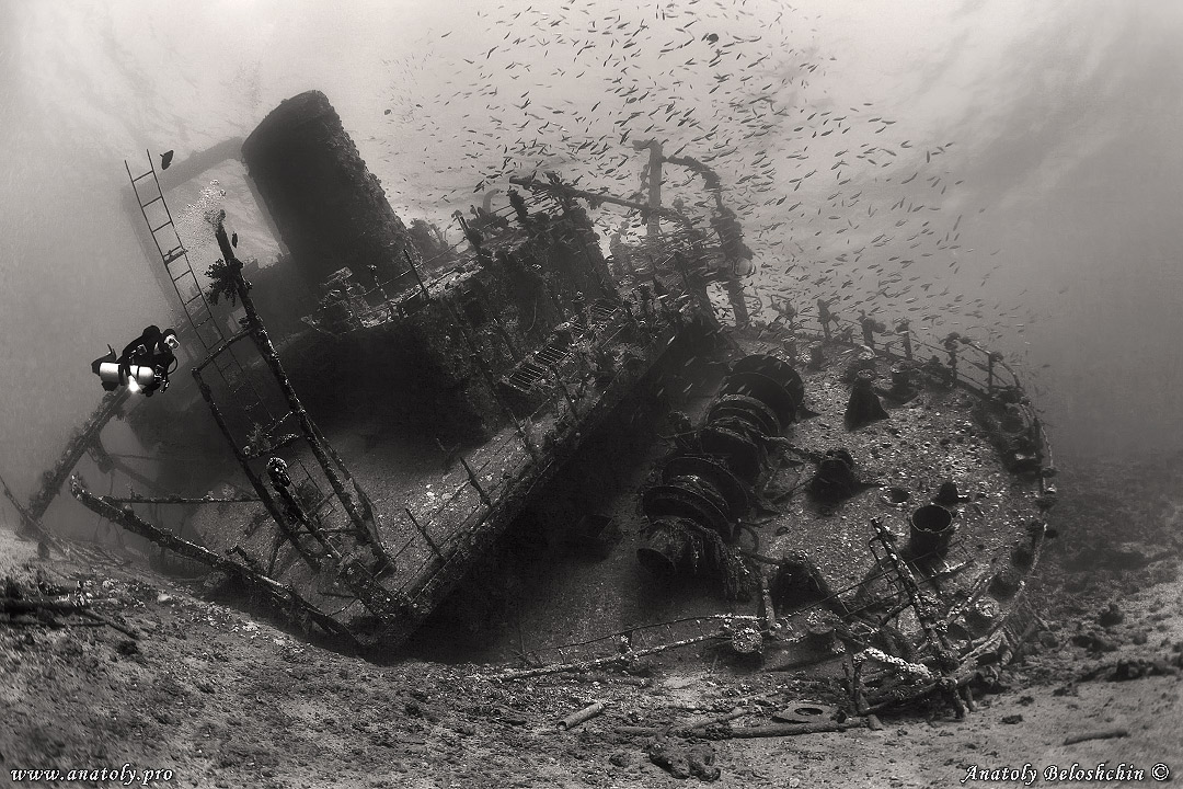 Gianis D, Red sea, wreck, Anatoly Beloshchin, Белощин
