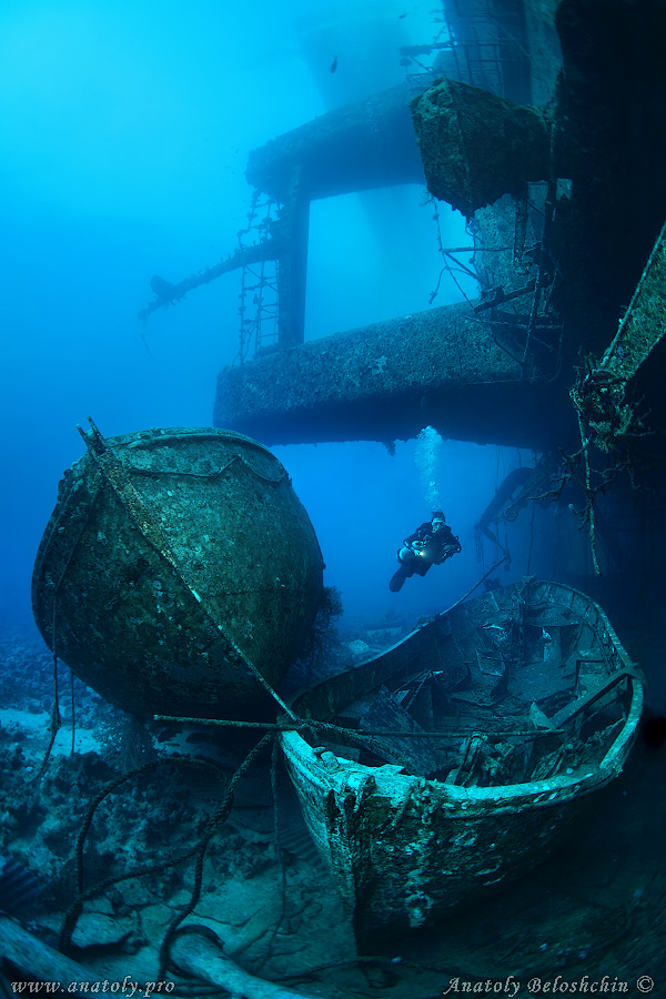 Salem, Red sea, wreck, Anatoly Beloshchin, Белощин