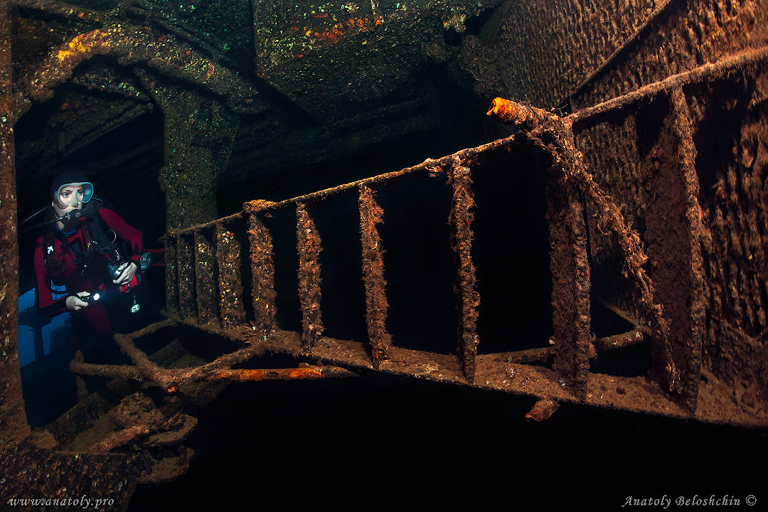 Red sea, wreck, Anatoly Beloshchin, Белощин