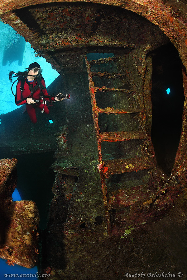 Giannis D, Red sea, wreck, Anatoly Beloshchin, Белощин