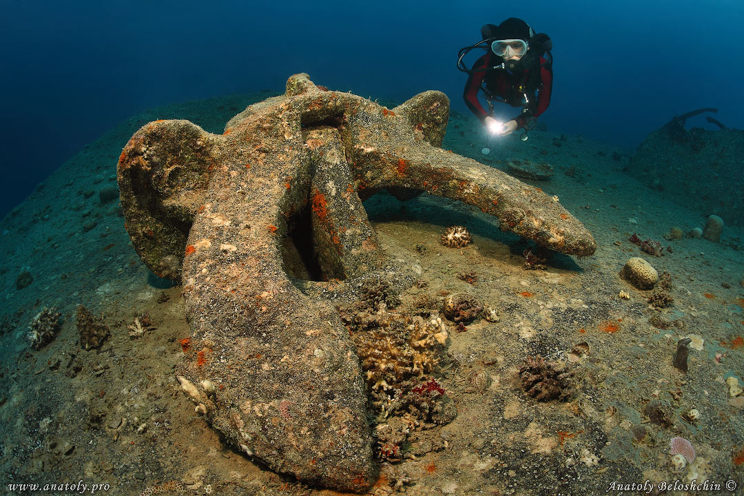 El Mina, Red sea, wreck, Anatoly Beloshchin, Белощин