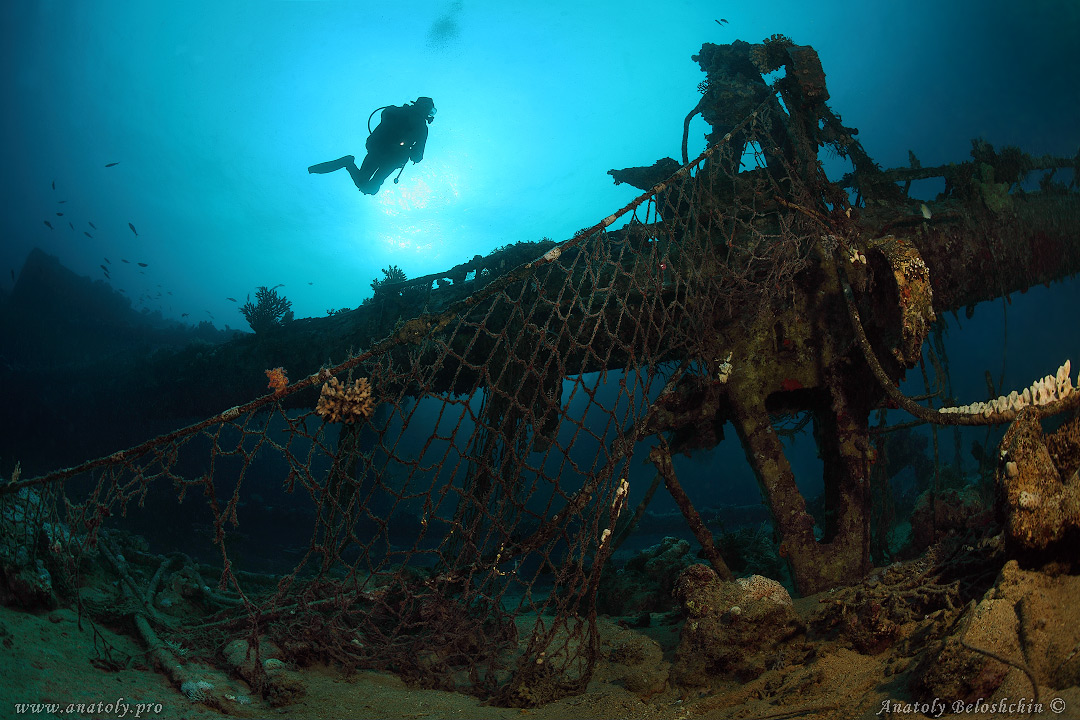 Red sea, wreck, Anatoly Beloshchin, Белощин