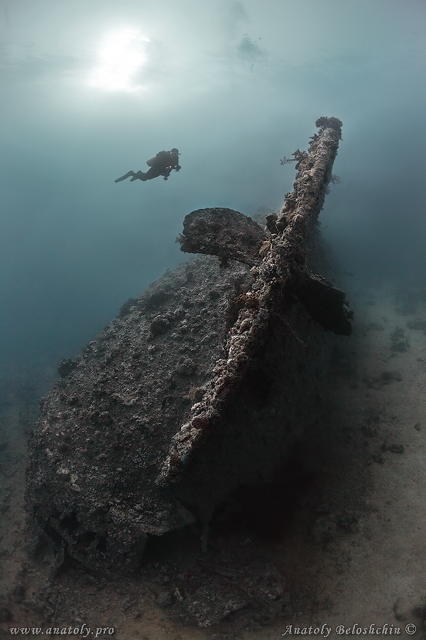 Red sea, wreck, Anatoly Beloshchin, Белощин