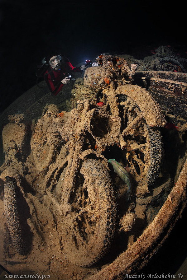 Thistlegorm, wreck, Red Sea, Anatoly Beloshchin, Белощин