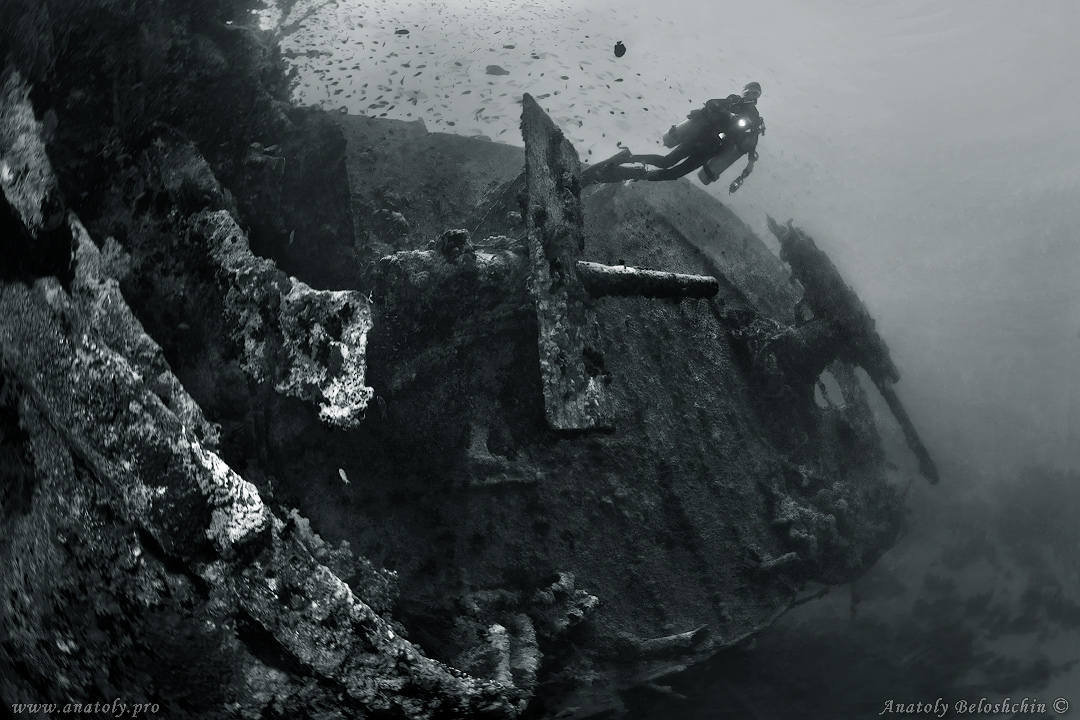 Thistlegorm, wreck, Red Sea, Anatoly Beloshchin, Белощин