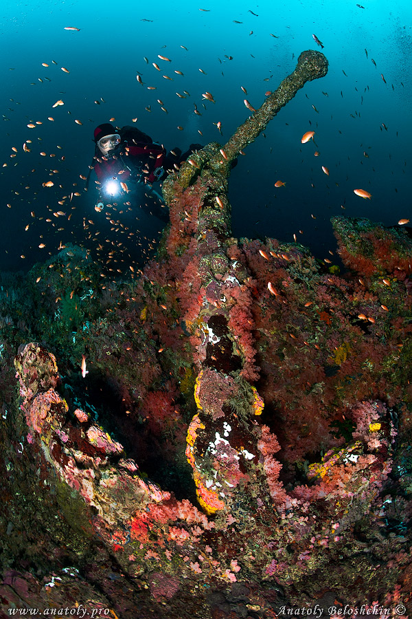 Philippines, wreck, Anatoly Beloshchin, Белощин