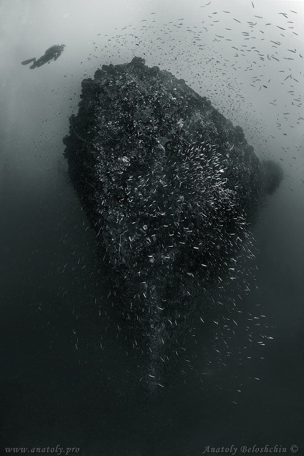 Philippines, wreck, Anatoly Beloshchin, Белощин