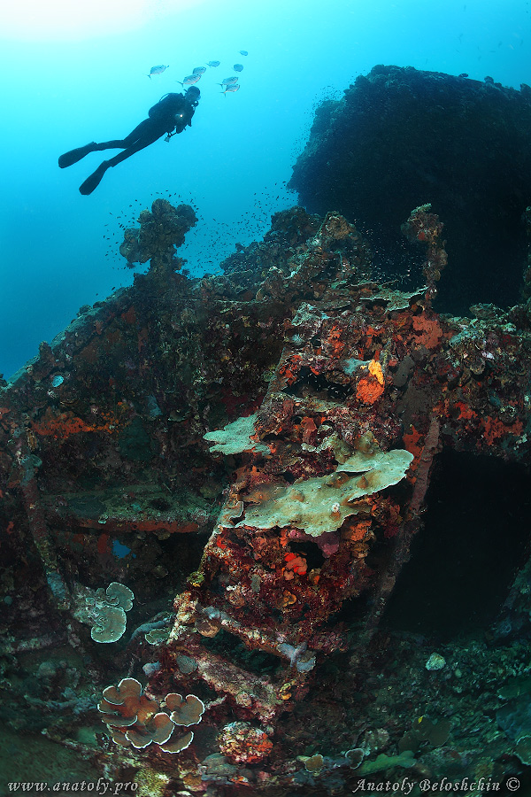 Philippines, wreck, Anatoly Beloshchin, Белощин