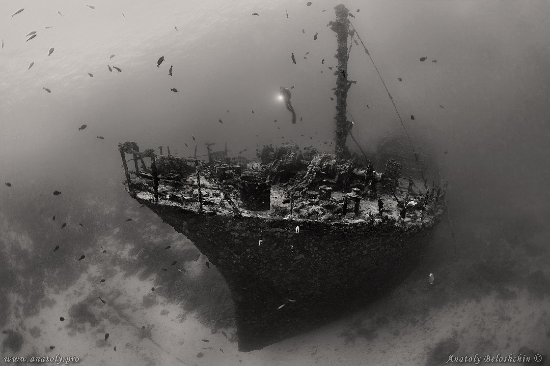 Maldives, wreck, Anatoly Beloshchin, Белощин 
