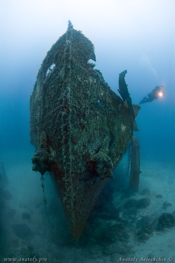 Malta, Anatoly Beloshchin