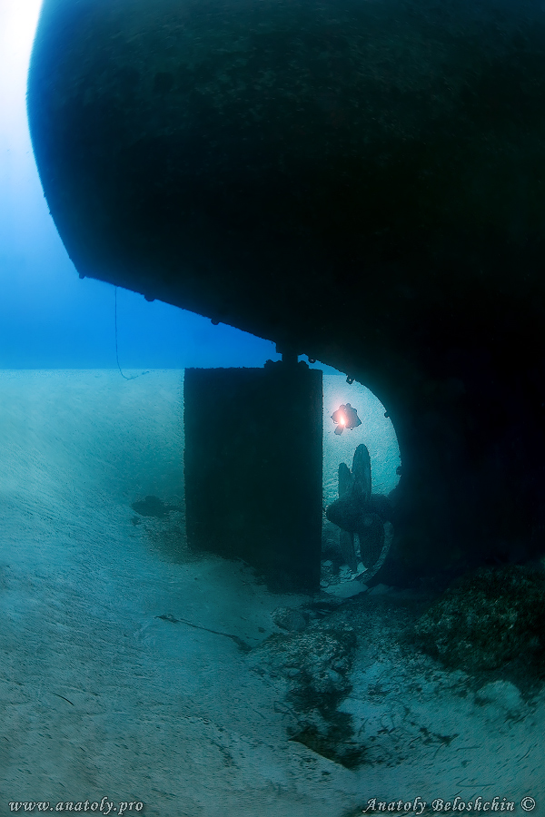 Malta, Anatoly Beloshchin