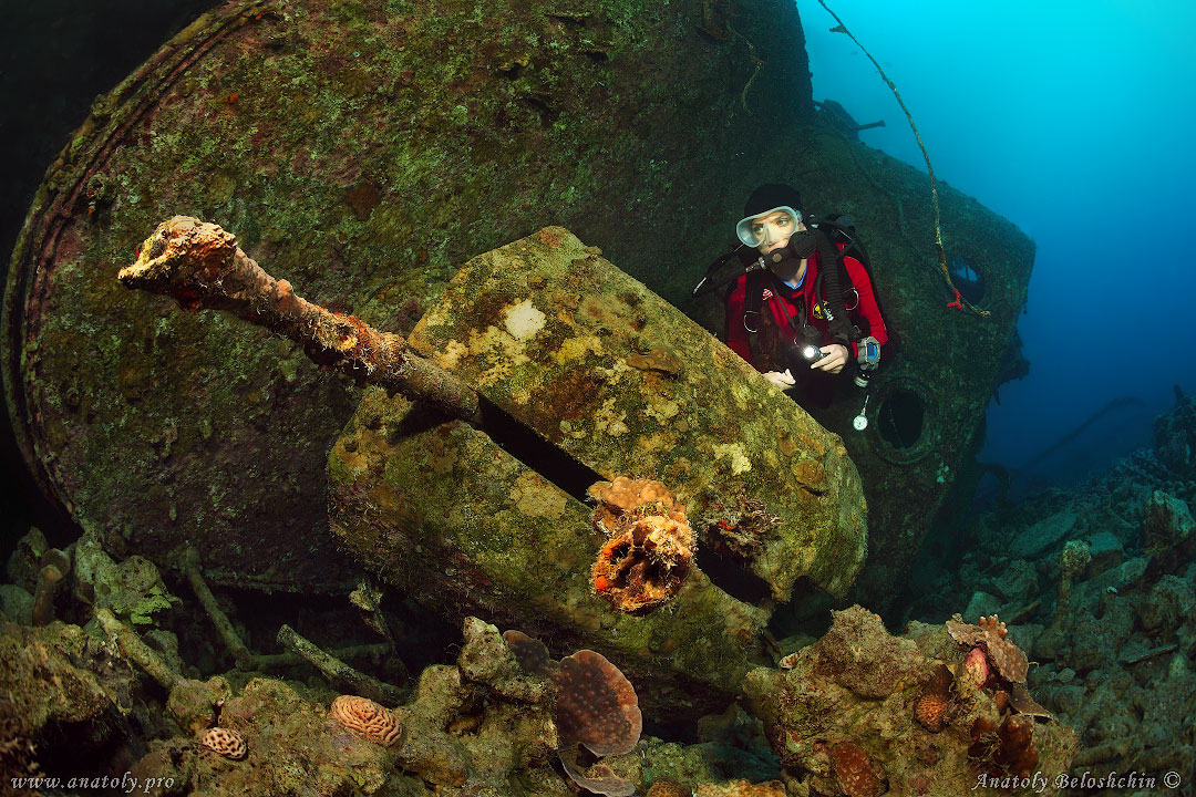 El Mina, Red Sea, Anatoly Beloshchin, Белощин