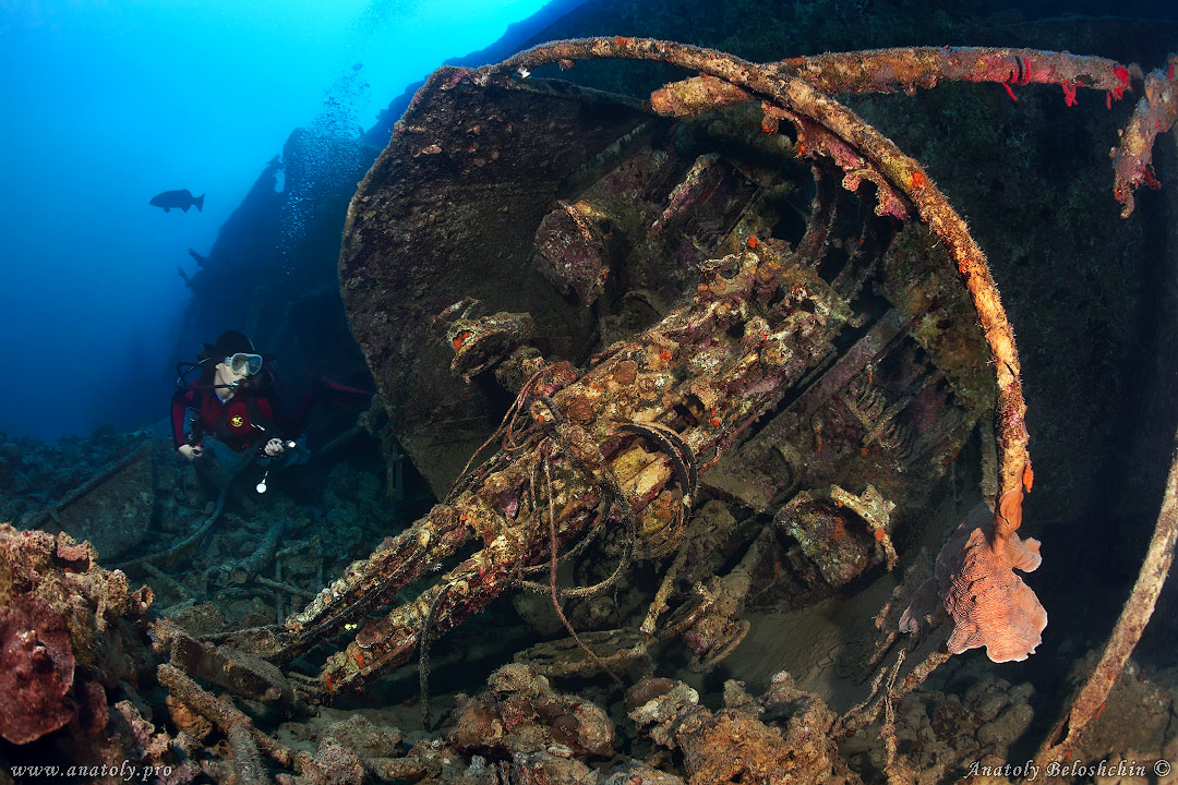 El Mina, Red Sea, Anatoly Beloshchin, Белощин