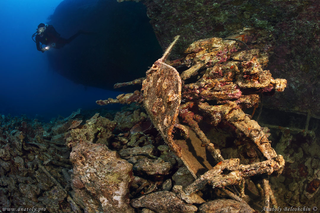 El Mina, Red Sea, Anatoly Beloshchin, Белощин
