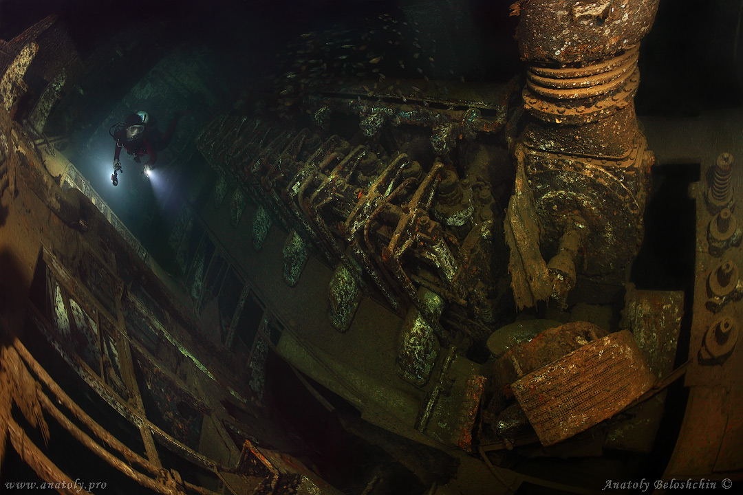 Giannis D, Red sea, wreck, Anatoly Beloshchin, Белощин 