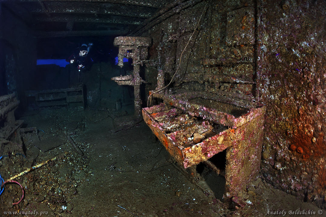 Red sea, wreck, Anatoly Beloshchin, Белощин 