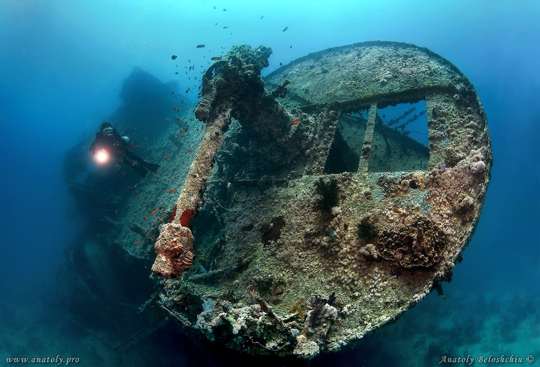 Thistlegorm, wreck, Red Sea, Anatoly Beloshchin, Белощин
