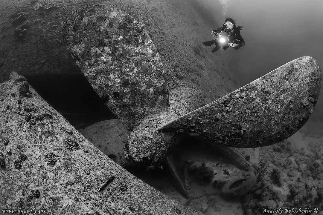 Thistlegorm, wreck, Red Sea, Anatoly Beloshchin, Белощин