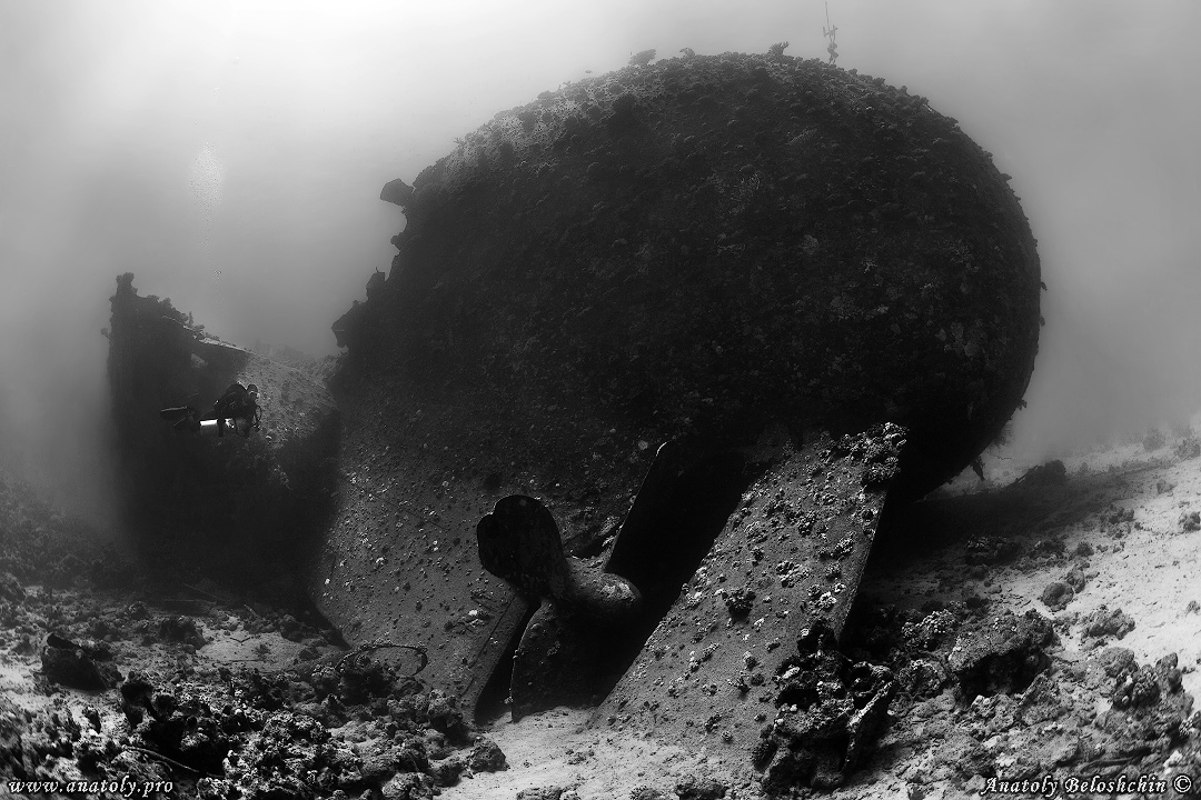 Red sea, wreck, Anatoly Beloshchin, Белощин 
