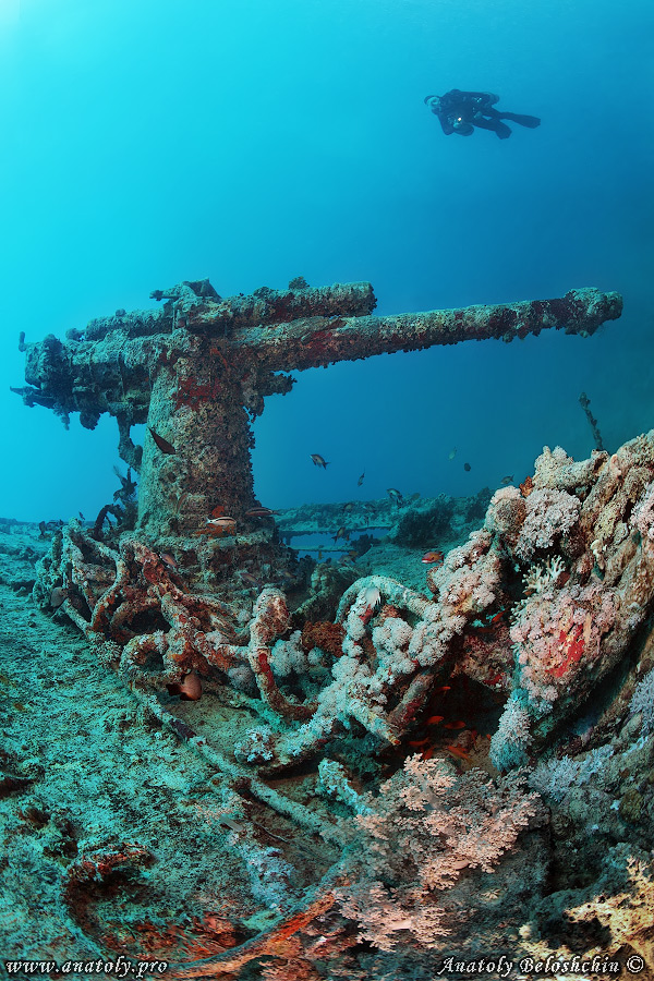 Thistlegorm, wreck, Red Sea, Anatoly Beloshchin, Белощин