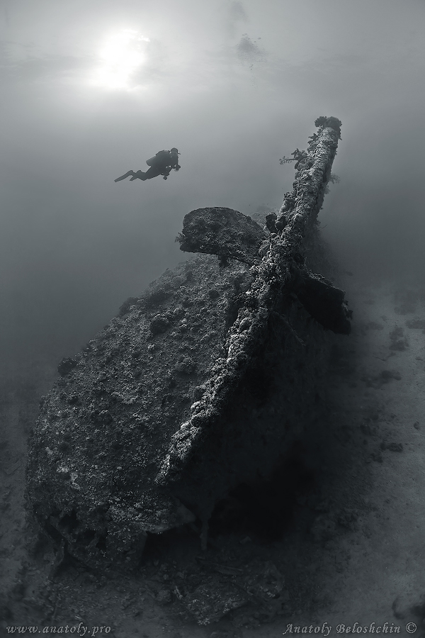 Red sea, wreck, Anatoly Beloshchin, Белощин 