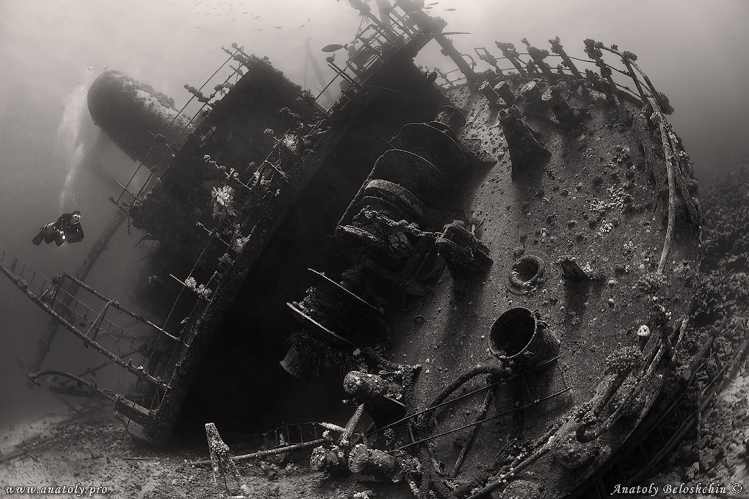 Giannis D, Red sea, wreck, Anatoly Beloshchin, Белощин 