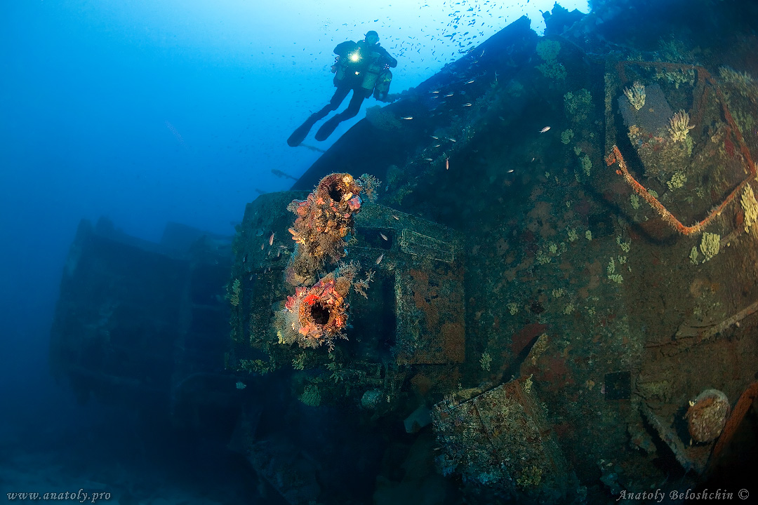 Wreck, Malta, Anatoly Beloshchin