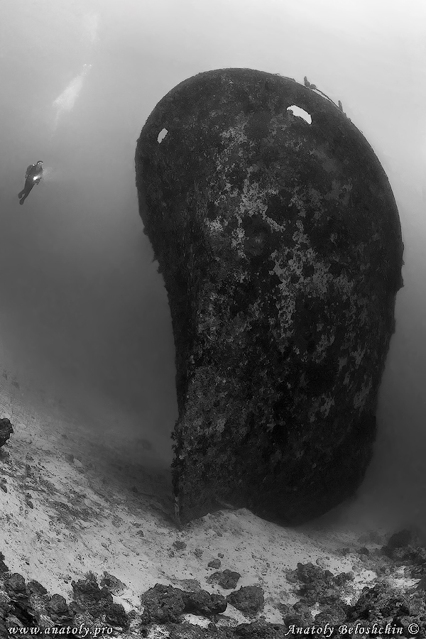 Wreck,  Maldives, Anatoly Beloshchin 