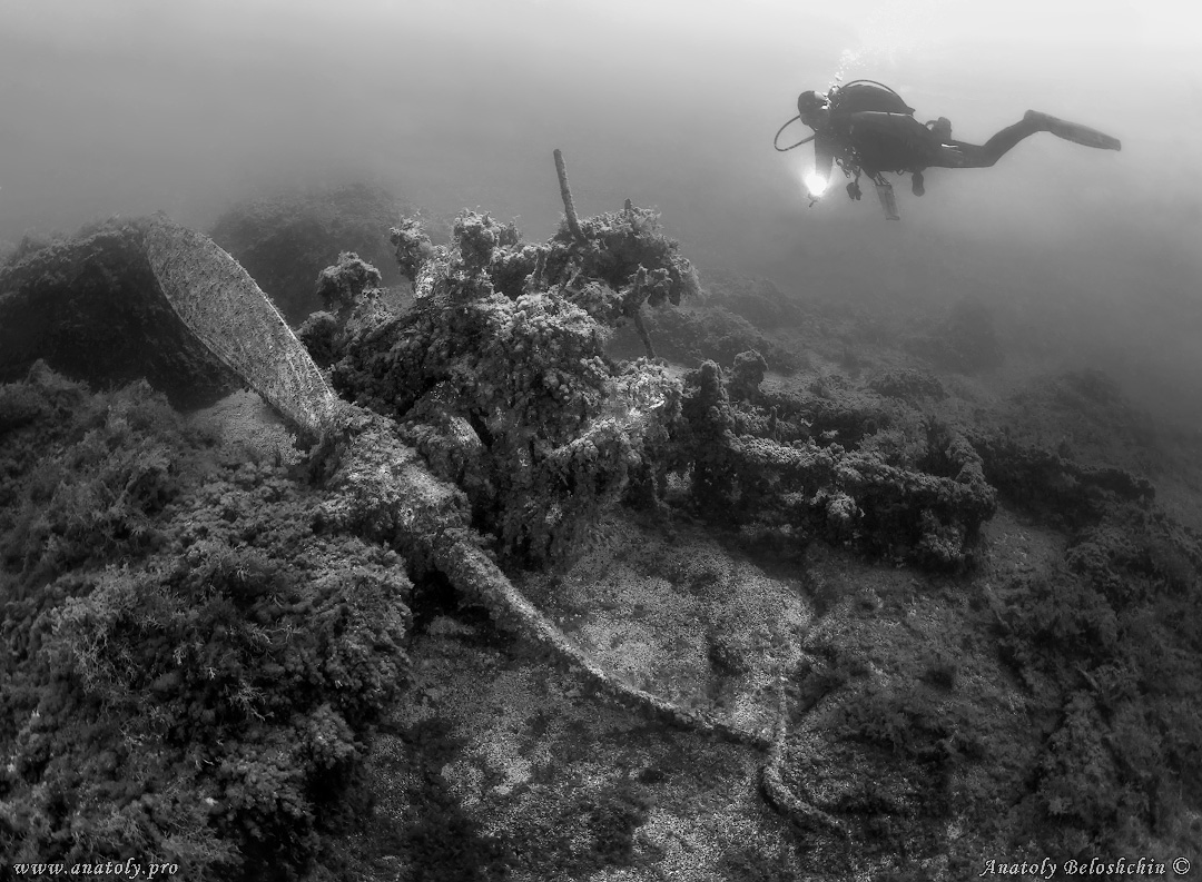 Black Sea, Wreck, Beloshchin, Белощин, Крым