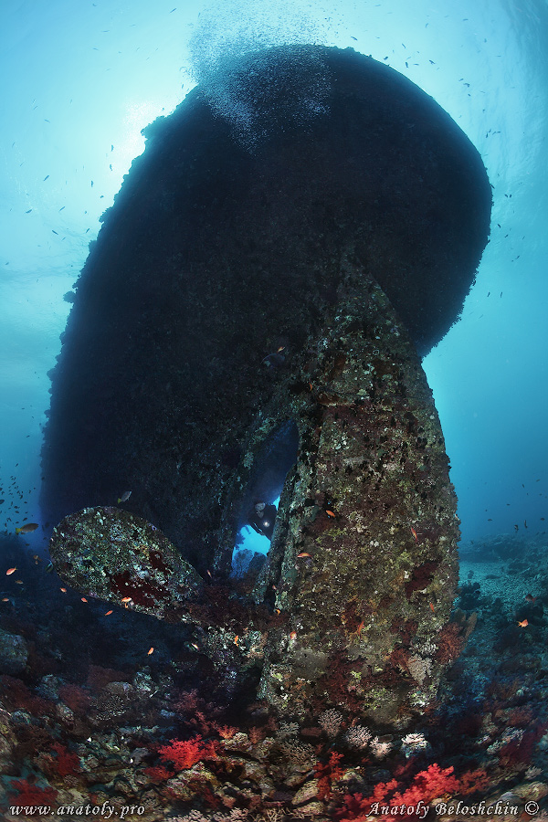Red sea, wreck, Anatoly Beloshchin, Белощин 
