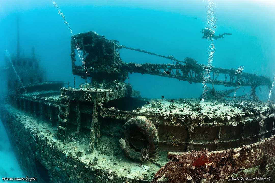 Kudima wreck, Maldives, Indian Ocean