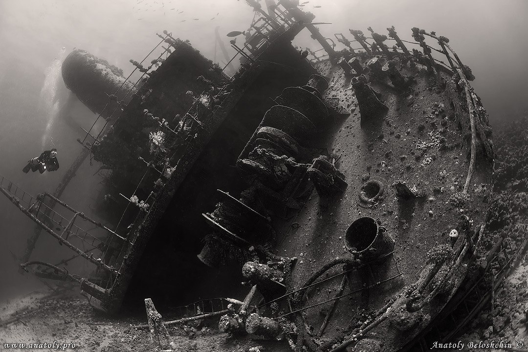 Фото Слайд-Шоу